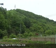 정의당, "치유의 숲 특혜 의혹"..춘천시, "사실 무근"