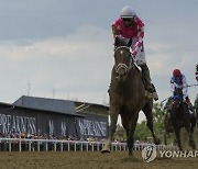 Preakness Stakes Horse Race