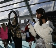 Netherlands Eurovision Song Contest Turquoise Carpet