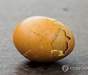 계란 껍질이 두 개