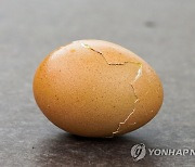 계란 껍질이 두 개