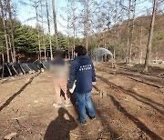 경기도, 축구장 3.5개 면적 산지훼손 20명 적발