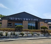 '유기동물 안식처' 대전 동물보호센터 금고동 이전 완료