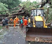 코로나19에 사이클론까지..인도 서부 해안 따라 북상 "6명 사망"