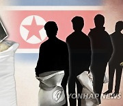 "북한, 최소 식량자급 능력 확보..대기근 가능성 희박"