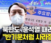 [영상] "반기문처럼 반짝하고 사라질수도"..북한, 콩트로 윤석열 비판