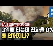 [영상] LA서 또 산불..소방차 접근 어려운 가파른 산 '활활'