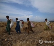 AFGHANISTAN AGRICULTURE