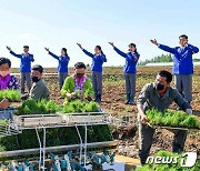 모내기 한창인 농장에 투입된 북한 예술 선전대