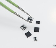 삼성의 DDR5 D램 모듈용 전력관리반도체