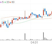 조이시티, +4.19% 상승폭 확대