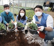 꽃을 든 KT&G.. 화훼농가 지원 '가화만社성' 프로그램 운영