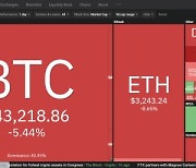 [글로벌포스트] '머스크 폭탄'에 월街 가상자산 관련주 휘청