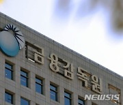 금감원, 내달 은행 및 지주 등 6곳 종합검사나선다