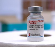 국내 바이오 업계, 'mRNA 백신' 개발 힘 합친다.. 컨소시엄 추진