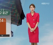 [날씨] '부처님 오신 날' 부산 낮 최고 24도.."따스해요"