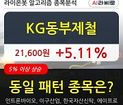 KG동부제철, 장시작 후 꾸준히 올라 +5.11%.. 외국인 기관 동시 순매수 중