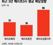 '배당 맛집' 메리츠금융 3사, 새 '배당 실험' 약일까, 독일까