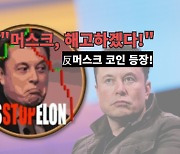 "머스크 테슬라 CEO 해고할 것!"..反머스크 코인 등장!