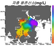 "경남 진해만 올해 첫 산소부족 물덩어리 발생"