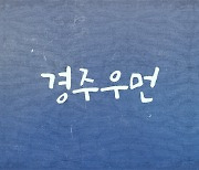 경주시 첫 웹드라마 '경주우먼' 개봉..천년고도 알린다
