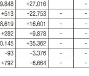 [표]유형별 펀드 자금 동향(5월 17일)