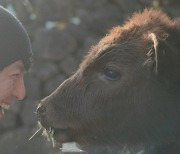 지상파+웹+모바일..'류수영의 동물티비', 시청자 사로잡은 멀티플랫폼 전략