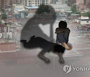 위기 빠진 탈북민 신속 지원 센터 추진..심리상담 지원도 강화