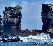 갈라파고스섬 '다윈의 아치' 바위, 자연침식으로 붕괴
