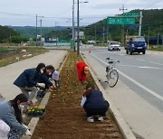 보은군 수한면, 아름다운 꽃길 조성에 앞장서