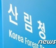 산림청 '벌채 통계 왜곡 주장' 반박.."면적 합산 기준 상이"