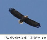 환경부, 장항습지 람사르습지 신규 등록