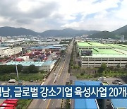 경남, 글로벌 강소기업 육성사업 20개사 선정