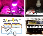 "시금치로 계산기 켰다"..식물전지 시대 '성큼'