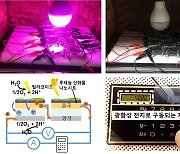 시금치로 전기생산한다!..'식물 광합성 전지' 개발 성공