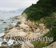 "걷고 싶은 도시로"..부산시 도심 갈맷길 120km 추가 조성