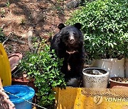 울산 울주군 한 농장에 나타난 곰