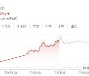 [신정은의 중국상장사 읽기]코인 부럽지 않다..하루 1100% 폭등한 이 종목