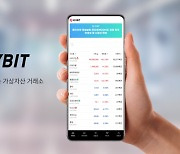 플라이빗, 국세청 세무조사 조기 종결