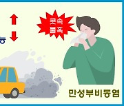 경유차 오염물질, 만성부비동염 악화시킨다