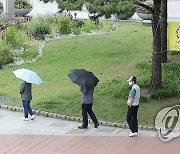 우산 쓴 코로나 검사 행렬