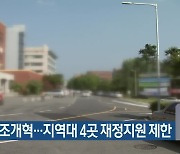 대학 구조개혁..지역대 4곳 재정지원 제한