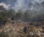 Greece Wildfire