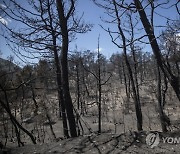 Greece Wildfire