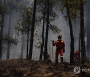 SPAIN FOREST FIRE