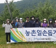 포항시 농기센터 기술보급과 '농촌일손돕기' .. 기북면 사과농가서 '구슬땀'