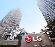 LG, 인도네시아에 1.3조 배터리 공장 건설.."현대차에 공급"