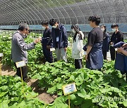 강원농기원-홍천농고 현장실습 교육 펼쳐