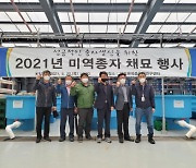 부산 기장군, 2021년 기장 미역 종자 채묘 실시