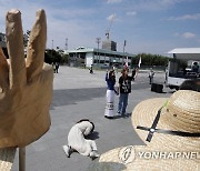 "미얀마의 봄을 응원합니다" 고창군, 티셔츠 구매 캠페인 동참